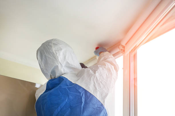 Asbestos and Lead Testing During Mold Inspection in Spring Grove, IL